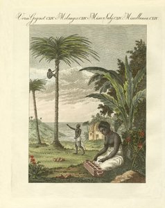 Scènes uit Afrika