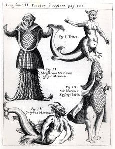 Zeemonstren, illustratie uit Physica Curiosa door Gaspar Schott S.J. (1608-66), gepubliceerd Würzburg 1662