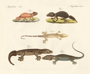 Vreemde dinosaurussen