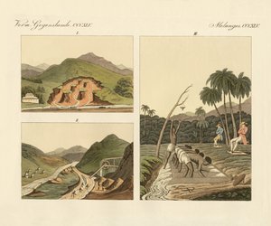 De edelsteenmijnen in Brazilië (gekleurde gravure)