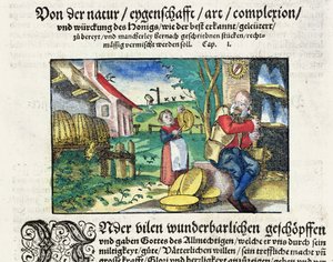 De genezende en therapeutische toepassingen van honing in de geneeskunde, illustratie uit een Duits verhandeling over medicijnen, gepubliceerd in Straatsburg in 1573 door German School