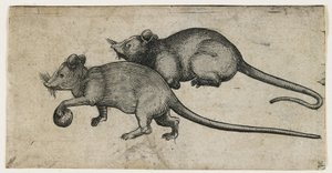 Twee Muizen, 1450-80