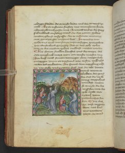 Ulrich von Pottenstein, Das Buch der natürlichen Weisheit, Egerton MS 1121 f.114v, ca. 1430 door German School