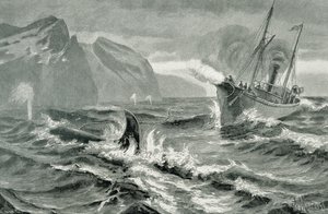 Gebruik van een harpoengeweer vanaf een snelle stoomboot door German School