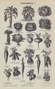 Groenten (gravure)