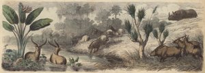 Waterplaats in Zuid-Afrika door German School