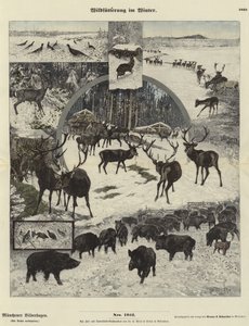 Wild Voeren in de Winter door German School