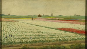 Tulpenvelden door Gerrit Willem Dijsselhof