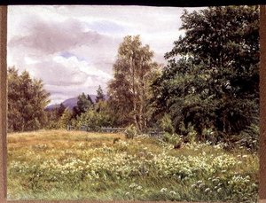 Moerasspirea bij Polchar, Aviemore, Schotland door Gertrude Martineau