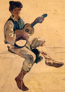 De gitarist