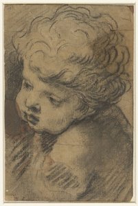 Hoofd van een putto