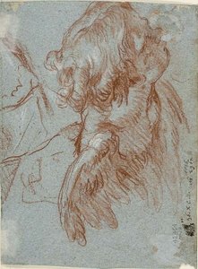 Studie voor detail: Hoofd van een cherubijn door Giambattista Tiepolo