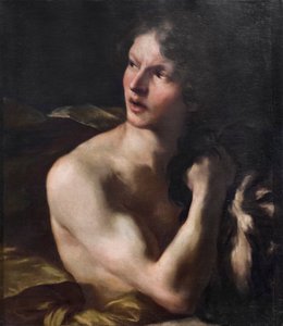 David door Gian Lorenzo Bernini