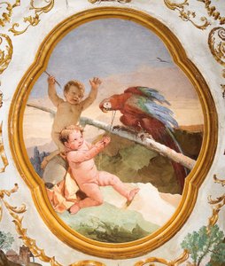 Putti met een Papegaai, uit de Putti Kamer in de Foresteria door Giovanni Domenico Tiepolo
