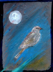 Maanvogel, 2016