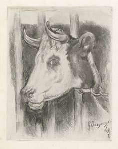 Kop van een koe door Gijsbertus Craeyvanger