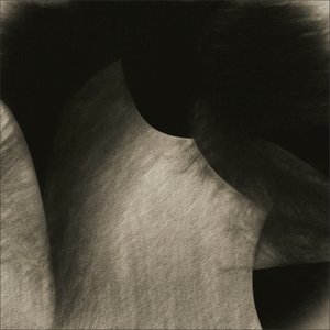 Vloeiende sepia-krommen