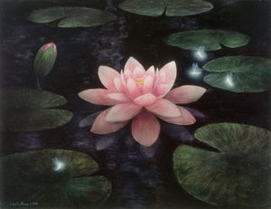 Lotus sprites
