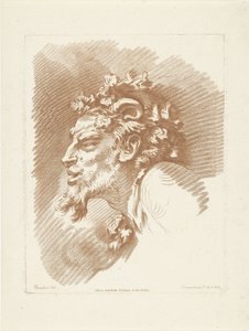 Kop van sater door Gilles Demarteau