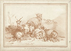 Liggende schapen en geit