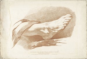 Studie van rechtervoet door Gilles Demarteau