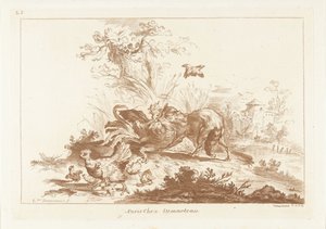 Vos valt haan aan en hen vlucht met kuikens door Gilles Demarteau