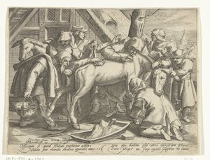 Het wassen van de ezel