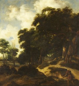 Boslandschap