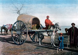 Bukhara-wagen, Oezbekistan, ca. 1890