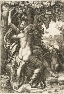 Angelica en Medoro