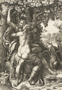 Angelica en Medoro