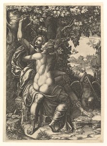 Angelica en Medoro, het paar omhelst elkaar, Medoro snijdt hun namen in de schors van een boom, ca. 1570 door Giorgio Ghisi