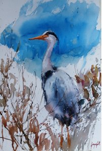 Blauwe reiger - Aquarel door Giorgio Gosti