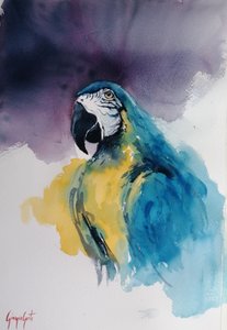 Blauw-gele ara door Giorgio Gosti