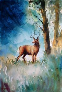 Herten in het mistige bos door Giorgio Gosti