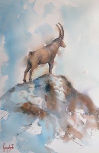 Majestueuze alpensteenbok door Giorgio Gosti