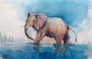 Majestueuze olifant waadt door Giorgio Gosti