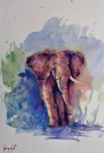 Majestueuze olifant in aquarel