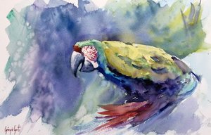 Levendige ara in aquarel