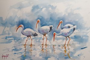 Weerspiegelingen van de witte ibis door Giorgio Gosti