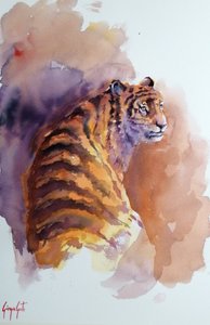 tijger 6