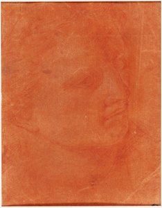 Hoofd in driekwart profiel (recto); Staande jonge man wijzend naar links en schetsen van voeten, arm (verso) door Giorgione
