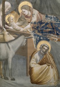 De Geboorte, detail van de Maagd en het Kind, de ezel en Jozef, 1303-05 (na restauratie)