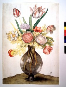 Klaprozen, tulpen en pioenroos