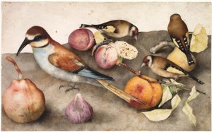 Stilleven met Vogels en Fruit