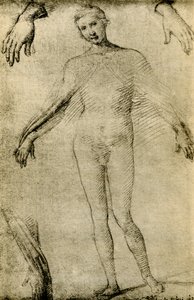 Modelstudie voor een Maagd Maria als mater misericordiae door Giovanni Antonio Bazzi Sodoma