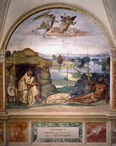 St. Benedictus overwint de verleiding door zich naakt in een doornstruik te werpen (fresco)