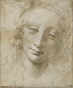 Hoofd van een vrouw door Giovanni Antonio Boltraffio