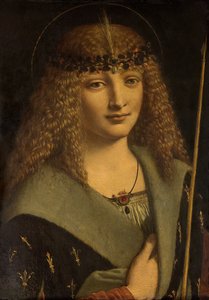 Portret van een jongen als heilige Sebastiaan

"

" door Giovanni Antonio Boltraffio