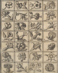 Essempio di recammi, pagina 10 verso door Giovanni Antonio Tagliente